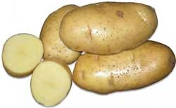 Soiuri de fotografie și descriere de cartofi