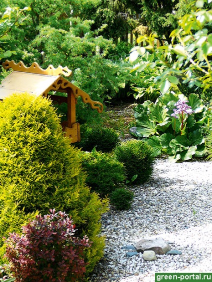 Sfaturi grădină salon de coafură simplitate tuns curat - design peisaj cu propriile mâini