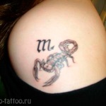 Tattoo zodiac semn scorpion valoare, fotografie și schițe