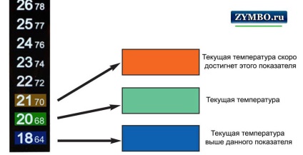 Termometru pentru acvariu