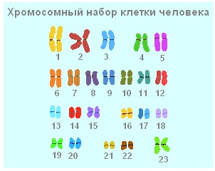 Test a biológiában „sejtszinten szervezettsége élő anyag”