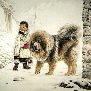 Tibetanul Mastiff - aiveda