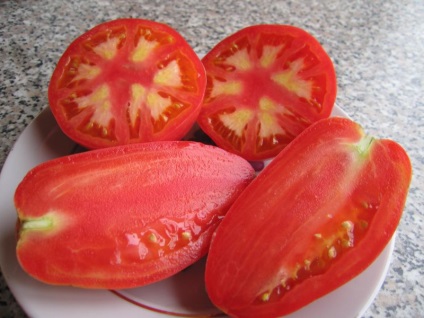 Tomato-pătrunjel-grădinar