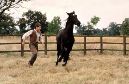 Top 10 filme despre cai, prima revista ecvestra online