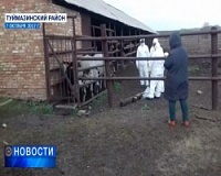Rezervoarele de apă Ufa au fost testate pentru infecții și microbi