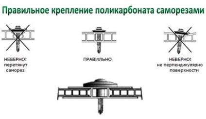 Инсталиране на ограда, изработен от поликарбонат с неговата ръце фото и видео