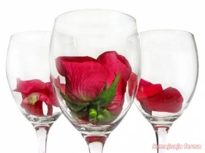 Bor rózsa - bor gyümölcsök és bogyók - bor - Könyvtár - családi gazdaság