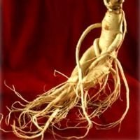 Vitamine cu ginseng pentru femei gerimax, vitrum cu extract de radacina