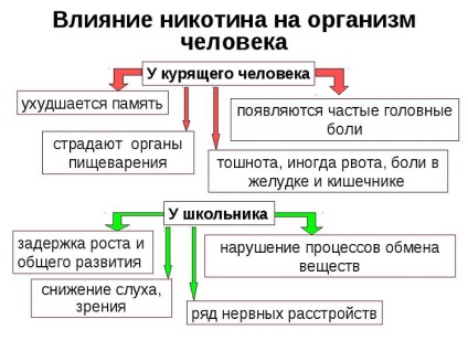 Efectul nicotinei asupra dezvoltării corpului uman al fătului, fătului, sănătății