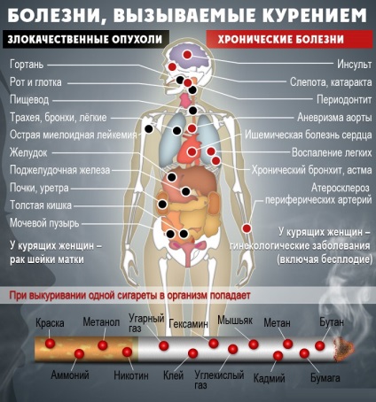 Efectul nicotinei asupra dezvoltării corpului uman al fătului, fătului, sănătății