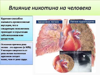 Efectul nicotinei asupra dezvoltării corpului uman al fătului, fătului, sănătății