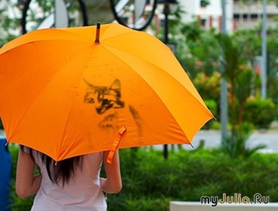 Minden - az esernyő! Ami főleg macska))) Felhasználói blog albinanick naplók - női