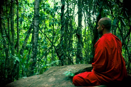 Toți în Zen! Și ați știut ce este meditația corectă