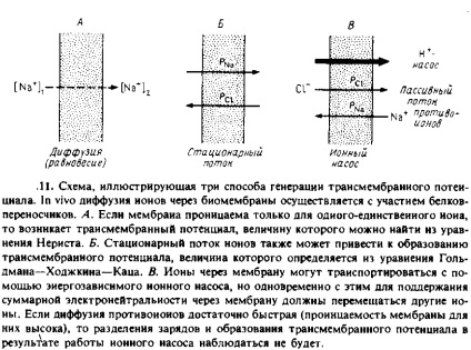 Interacțiunea compușilor cu moleculă mică cu membrană - abstract, pagina 5