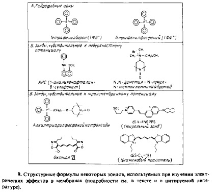 Interacțiunea compușilor cu moleculă mică cu membrană - abstract, pagina 5