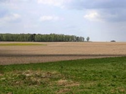 Szeretné, hogy egy ingyenes 1 hektár föld - dolgozni kamcsatkai 15 év - hírek közművek Kamcsatka