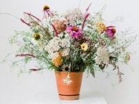 Crizanteme - plantare și modelare, flori în grădină (gospodărie)