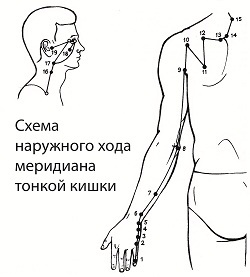 Захворювання дванадцятипалої кишки і тонкого кишечника