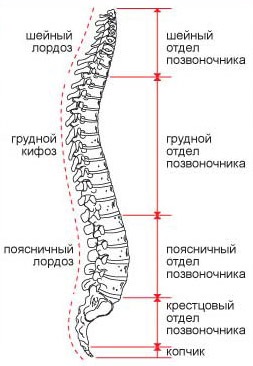 Strângerea nervului în simptomele și tratamentul coloanei vertebrale