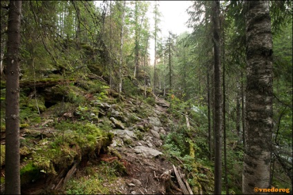 Cascade Zhigalansky, off-road