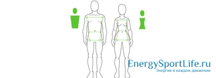 Metabolismul grasimilor în corpul uman