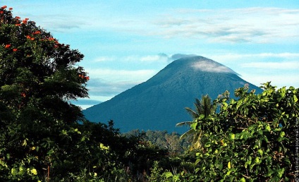 Animalele din Parcul Național Tangkoko din Indonezia, știri de fotografie