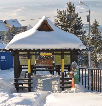 Arborul de iarnă - fotografii ale celor mai bune idei pentru proiectarea unui foișor cald