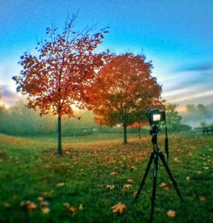 5 sfaturi pentru obținerea fotografiilor HD de înaltă calitate