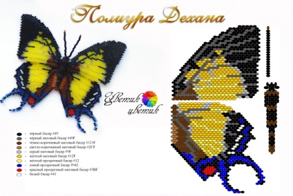 Butterfly of Beaded Scheme