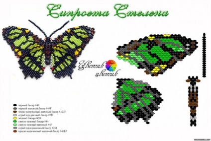 Butterfly of Beaded Scheme