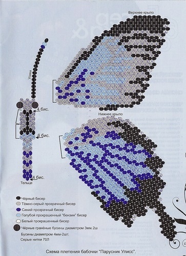 Butterfly of Beaded Scheme