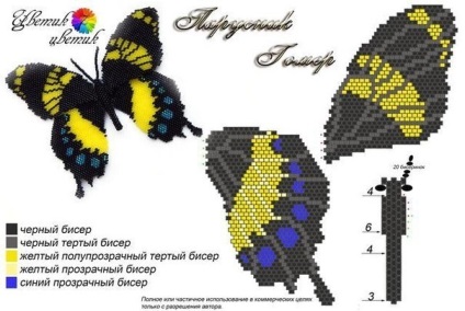 Butterfly of Beaded Scheme