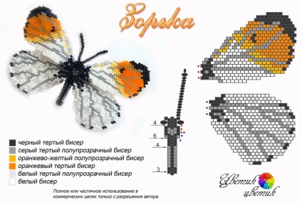 Butterfly of Beaded Scheme