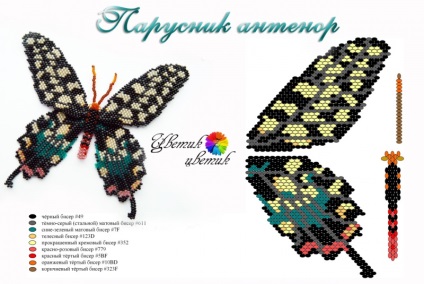 Butterfly of Beaded Scheme