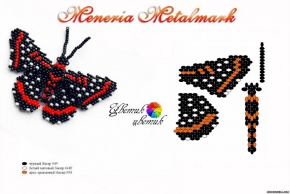 Butterfly of Beaded Scheme