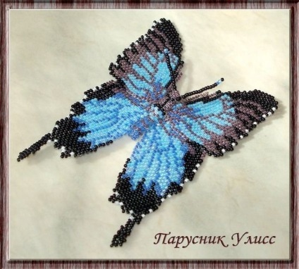 Butterfly of Beaded Scheme