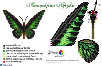 Butterfly of Beaded Scheme