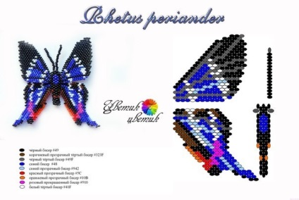 Butterfly of Beaded Scheme