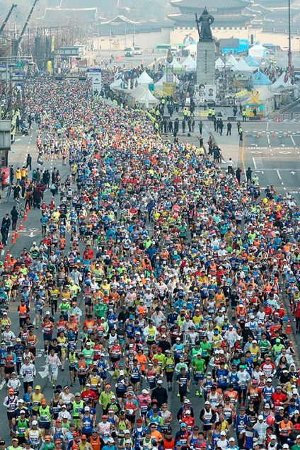 Fuss, kutya! „Interjú tagja a Szöul Marathon