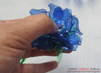 Clasele de masterat gratuite pe crearea de culori din sticle de plastic