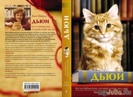 Ember és macska fotópályázatot a mi szőrös barátok blog csoportok - macska - egy macska (szabályok) Ember és macska fotópályázatot a mi szőrös barátok csoport blog - macska - macska