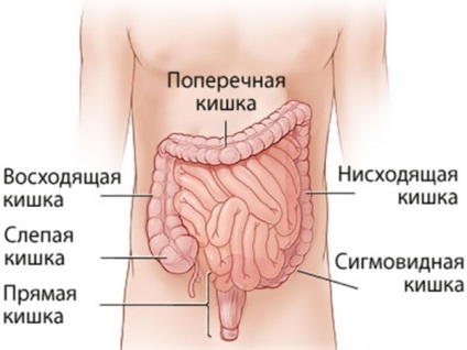 Cum să tratați colicul la nou-născuți