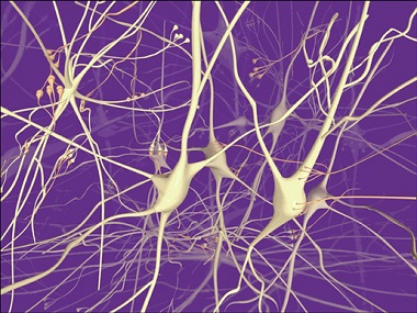 Efectele neurotoxice sunt periculoase