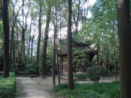 Chengdu (Sichuan) temple, bucatarie si panda