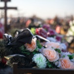Mit válasszak temetési koszorúk és kosarak