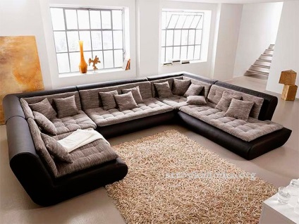 A kanapé a nappali belső (20 fotó) Speciális beállítások