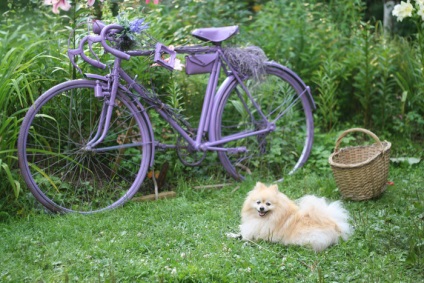 Diy decor de o bicicletă vechi - cu mâinile tale