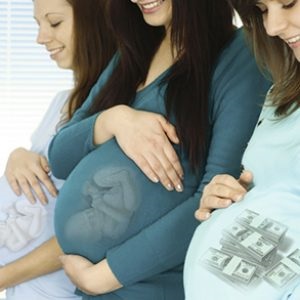 Contractul de maternitate surogat este o mostră a modului de a deveni o mamă surogat