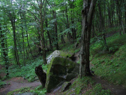 Dolmens pe teritoriul Krasnodar din Caucaz - colibe eroice sau case ale sufletului