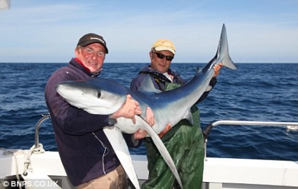 Drifting - prinderea rechinilor albastre și a vulpilor marini - alte căi de pescuit